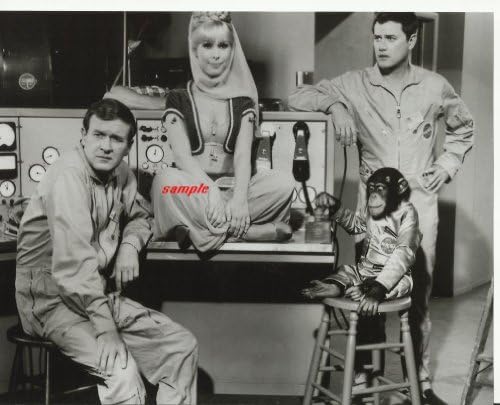 Az az Álmom, Jeannie Barbara Eden Larry Hagman Bill Napi & Csimpánz 8x10 Fotó